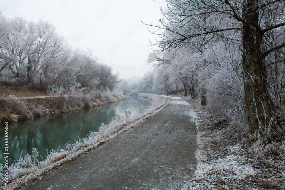 City Park natural cycle route frozen trees in winter Slovakia Europe City Park natural cycle route frozen trees in winter Slovakia Europe