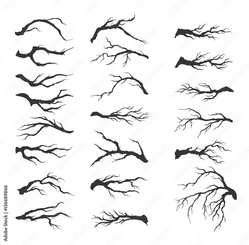 vector set dry tree branches vector set dry tree branches