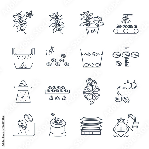 set of thin line icons coffee production and processing