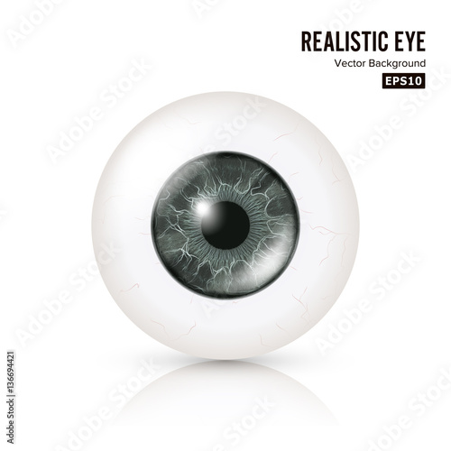 Eye Realistic. Vector Illustration Of 3d Human Glossy Photo Rrealistic Eye With Shadow And Reflection. Front View. Isolated On White Background