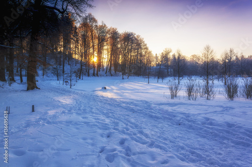 Fototapeta Naklejka Na Ścianę i Meble -  Winter Wonderland in morning light of the sunrise