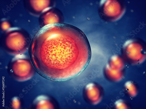 Embryonic stem cells , Cellular therapy , Regeneration and disease treatment  photo