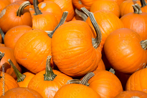 Foto Halloween-Kürbisse