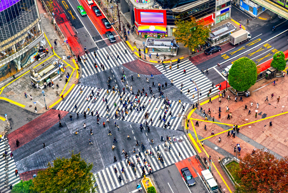 Obraz premium Aerial view of Shibuya District and Shibuya Crossing, Tokyo.