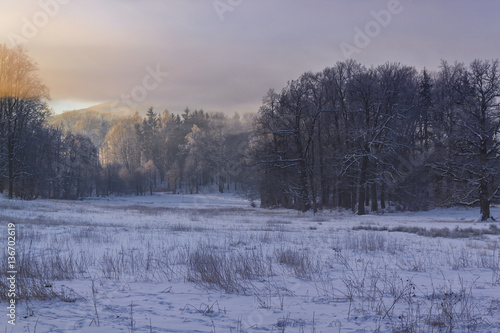Winter Wonderland in morning light of the sunrise © Photo Collective