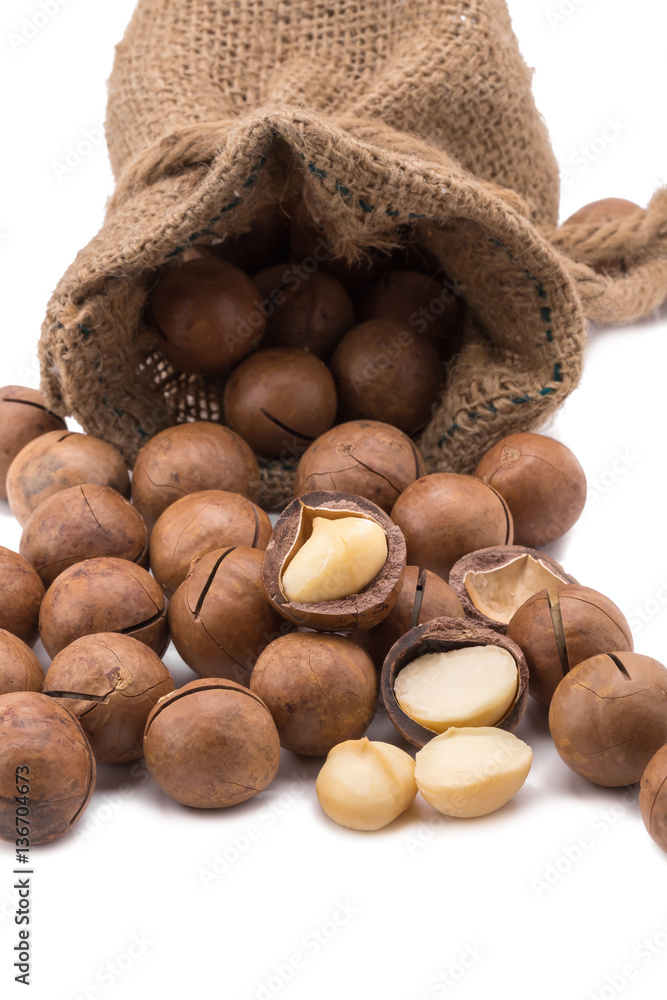 macadamia nut in sack on white background. macadamia nut in sack on white background.