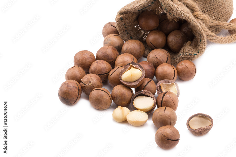 macadamia nut in sack on white background. macadamia nut in sack on white background.