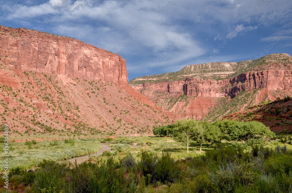 red rocks of Mesa Canyon and meanders of Dolores river near Unaweep-Tabeguache scenic byway
Gateway, Mesa County, Colorado, USA