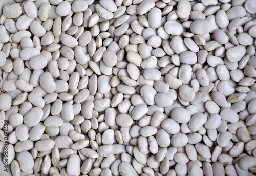 A large white beans varieties Yas'ko dry bulk grain