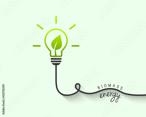 Biomass and renewable energy source concept with light bulb and leaf inside