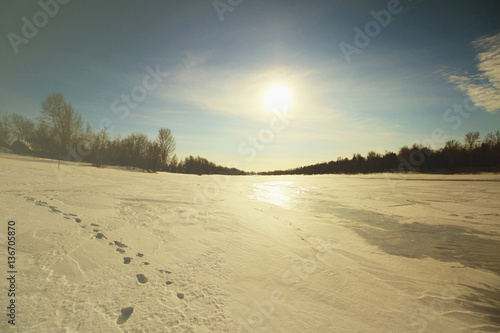 Forest and field in snow in the sunset