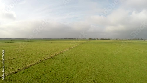 Aerial flying low and steady above typical dutch green grassland moving just right of fence and steady forward then flying towards lonely tree and passing it real close steady quadcopter drone 4k photo