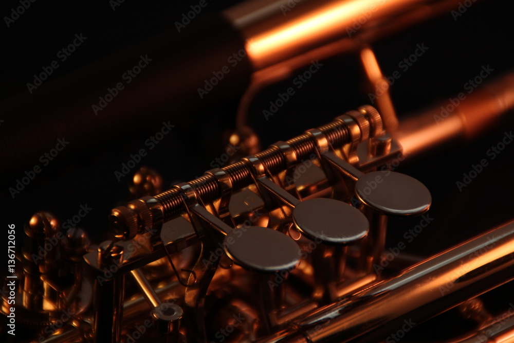Fototapeta premium Trumpet