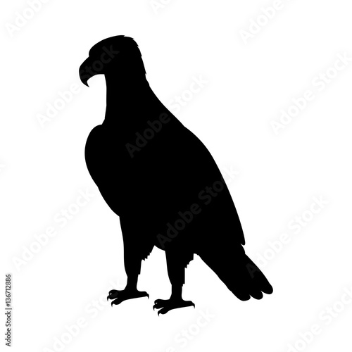 Bald Eagle Flat Design Vector Illustration