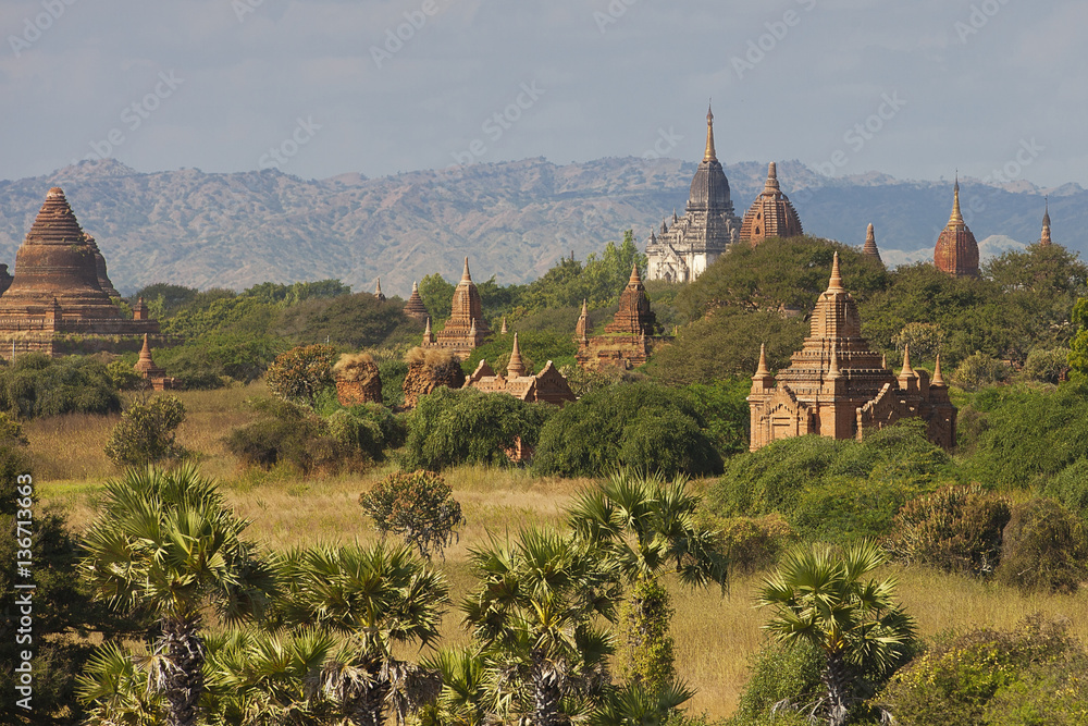 Classic view of ancient temples in Bagan Burma 