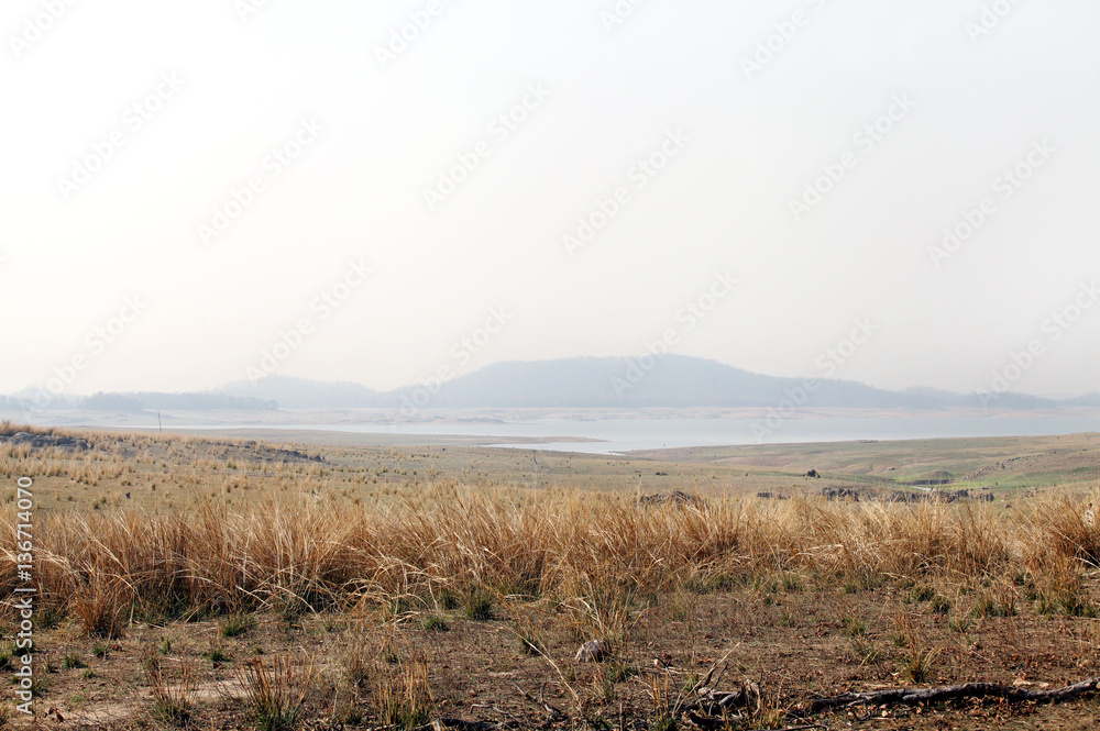 Hillocks and grassland along the reservoir in Pench National Park Hillocks and grassland along the reservoir in Pench National Park