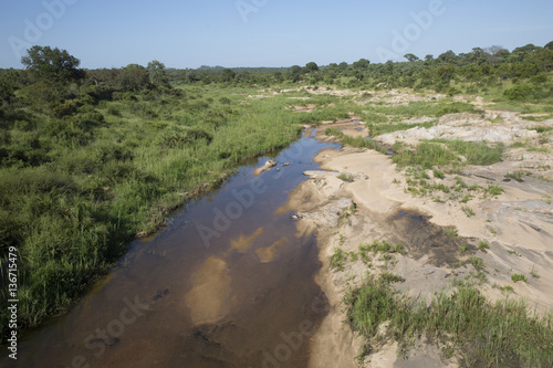 Landscape in Kruger National Park South Africa