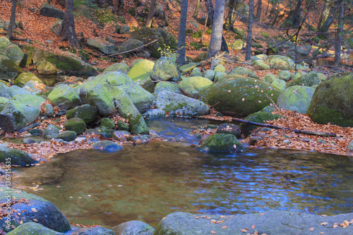 Fototapeta Naklejka Na Ścianę i Meble -  Autumn stream in the forest