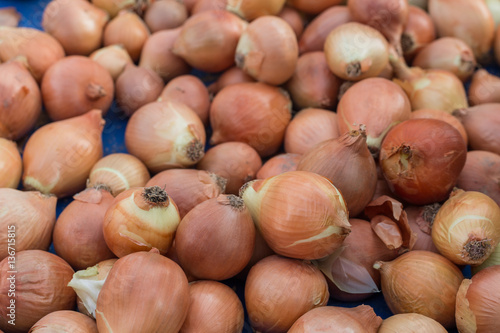 Group of raw onions