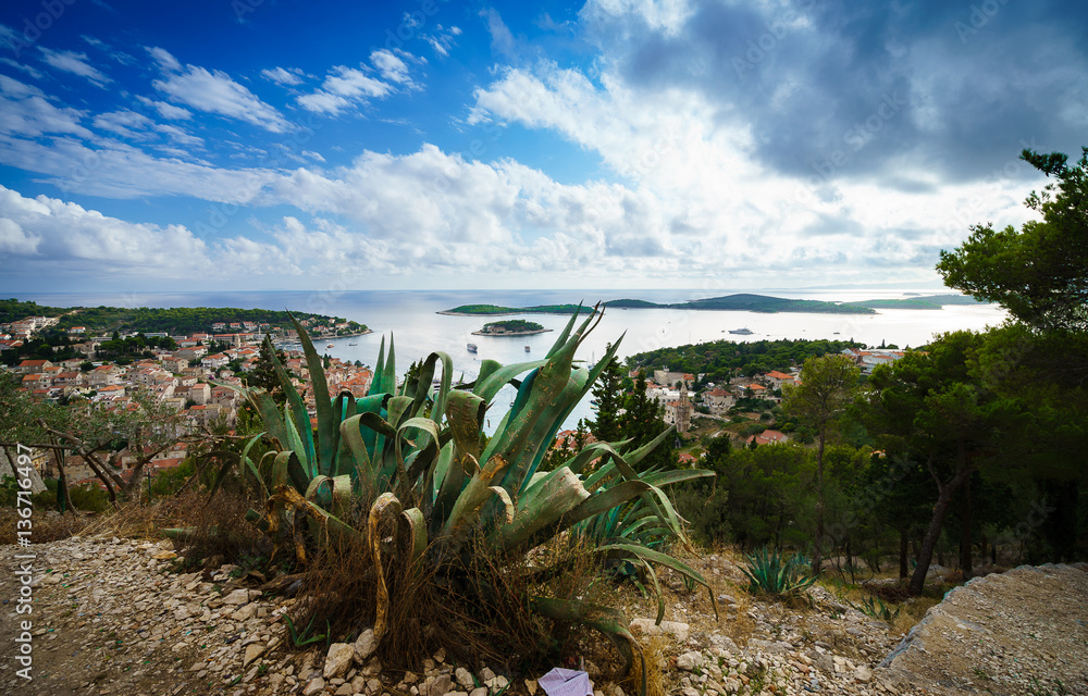 Cactus, amazing sky and panoramic view of Hvar city and the bay from the Spanish fortress. Cactus, amazing sky and panoramic view of Hvar city and the bay from the Spanish fortress.
