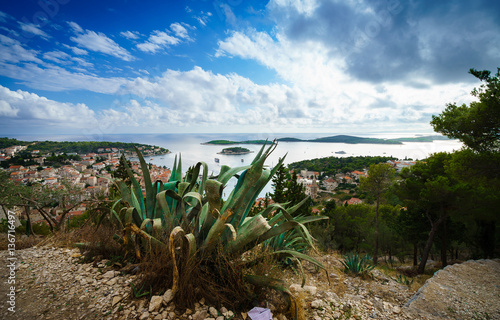 Cactus, amazing sky and panoramic view of Hvar city and the bay from the Spanish fortress.