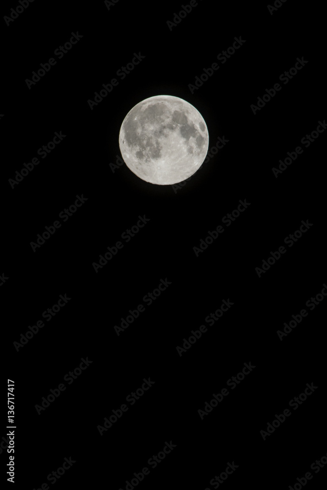 You've been mooned! You've been mooned!