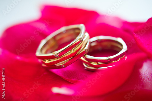 Gold wedding rings on petals of roses. Wedding rings on a purple background. Love background.