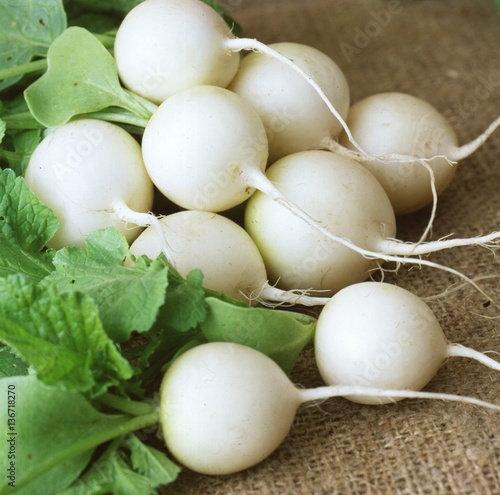 White ripe radishes with leaves