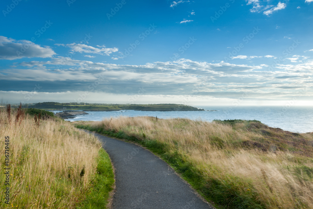 Ardglass coastal path, County Down, Northern Ireland