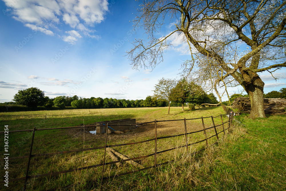 Water reservoir for animals on the pasture with trees in the background