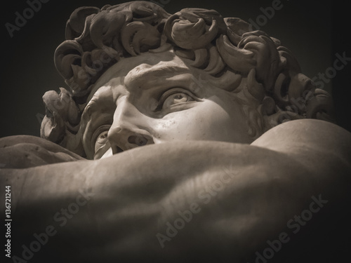 detail of the face of Michelangelo's David photo
