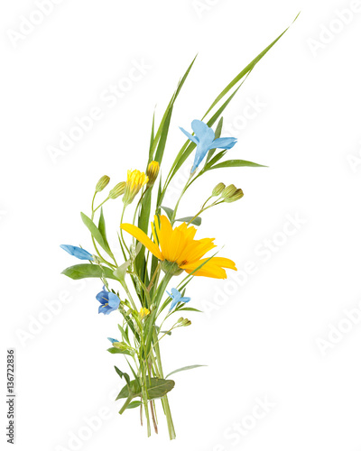 bouquet of the field  wild  flowers  easter colors  isolated