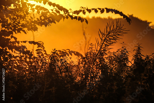 Sonnenaufgang in der K  stenheide