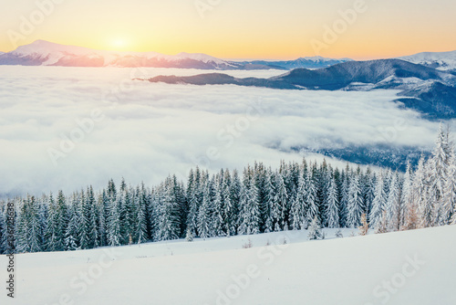fog in winter mountains. Fantastic sunset. Carpathians Ukraine