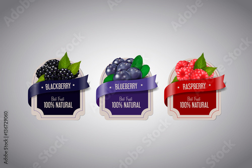 Realistic Berry labels set with blackberry, blueberry and raspbe