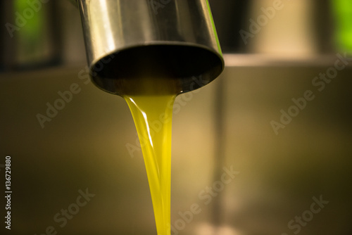 Processing of olive oil in a modern farm.