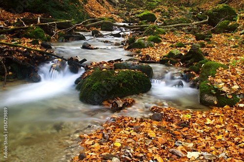 Autumn flowing mountain stream waterfall in Slovakia. Colored leafs on moss rock. Fresh natural water.