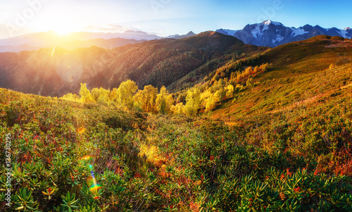 Autumn landscape and snowy mountain peaks.