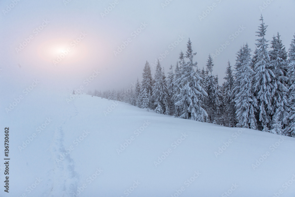 Obraz premium fog in winter mountains. Fantastic sunset.
