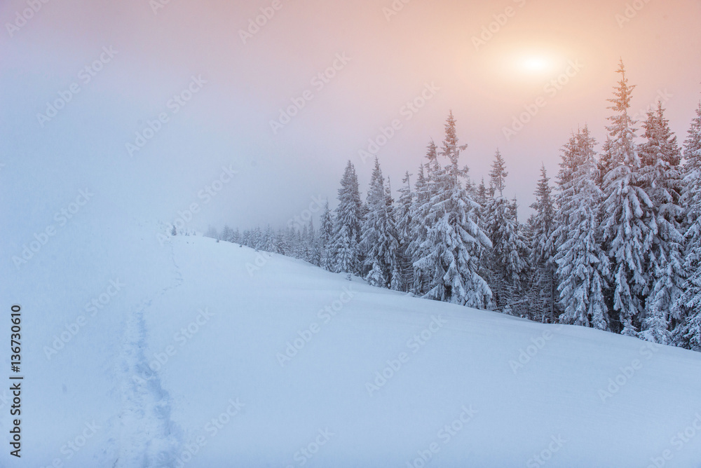 Fototapeta premium fog in winter mountains. Fantastic sunset.