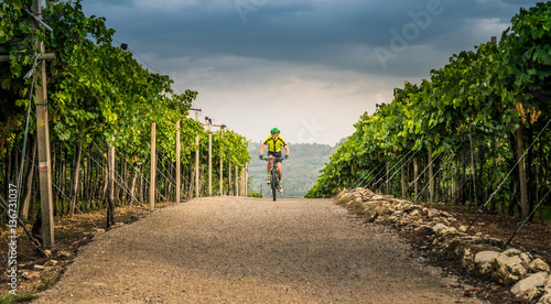 Cyclist pedaling through the hills.