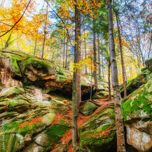 Fototapeta Naklejka Na Ścianę i Meble -  Walking in rocky terrain in the forest