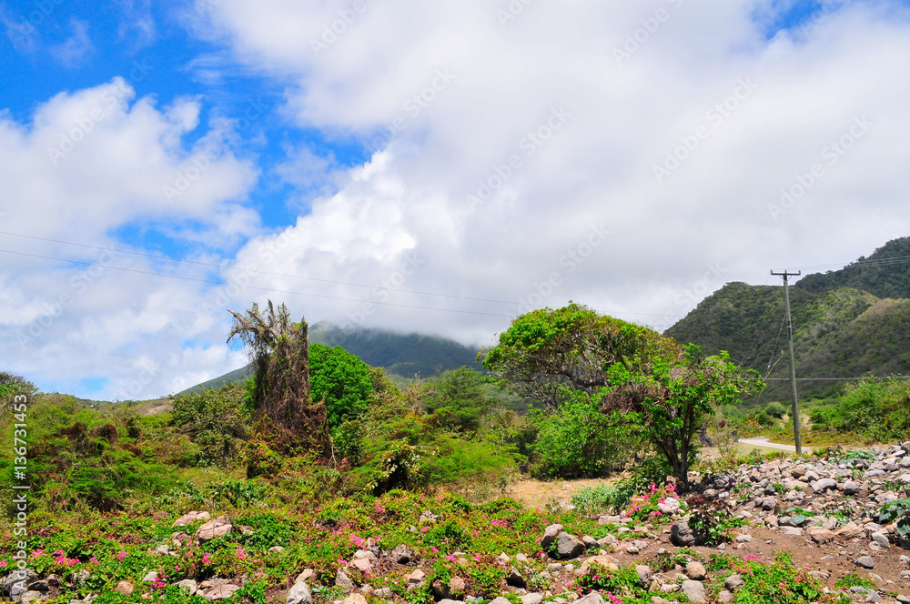 Caribbean, island of Nevis