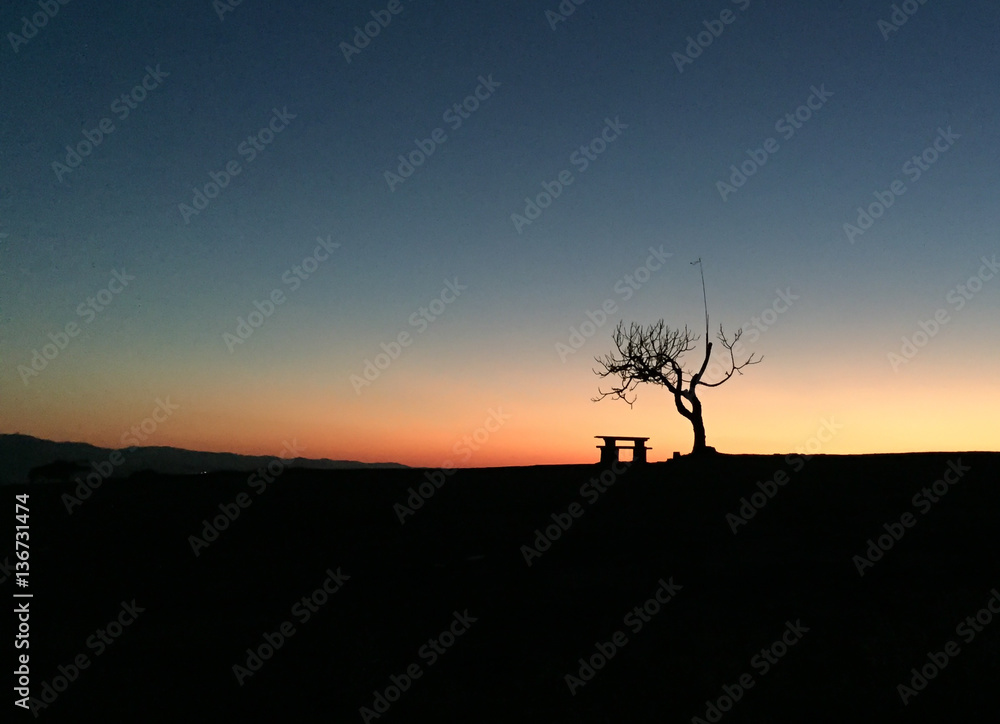 Tree backlight and outdoor table in the mountain.Abstract concept
