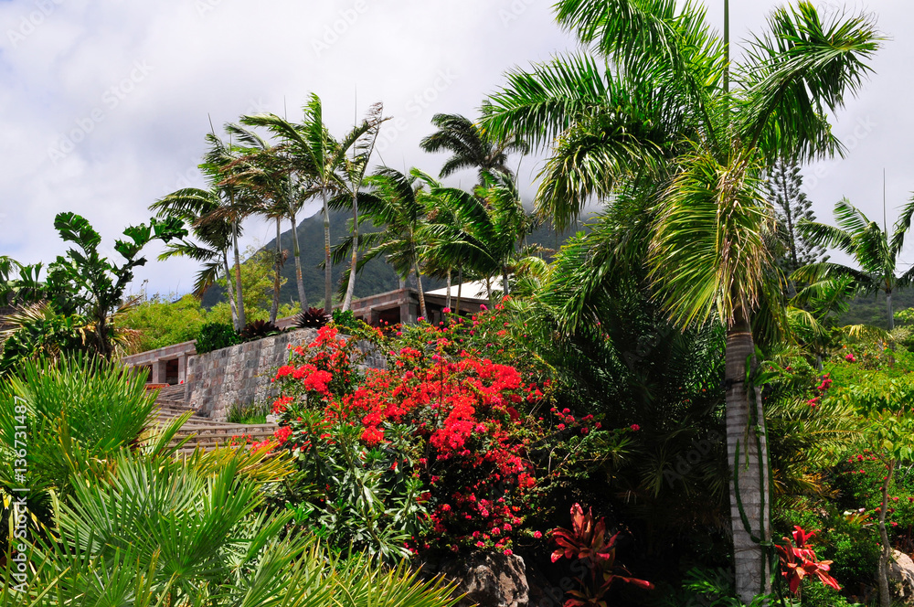 Caribbean, island of Nevis