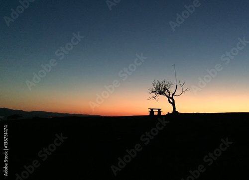 Tree backlight and outdoor table in the mountain.Abstract concept