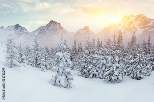 Mysterious landscape majestic mountains in winter. © standret