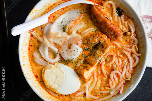 Singapore Laksa at Singapore zoo photo