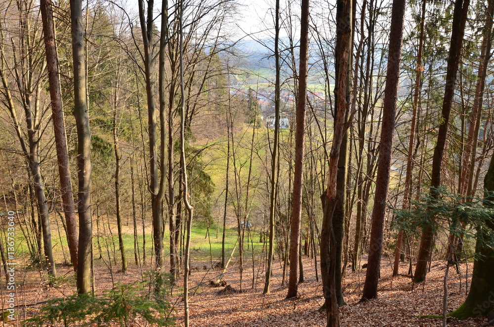 Frühling Frühling