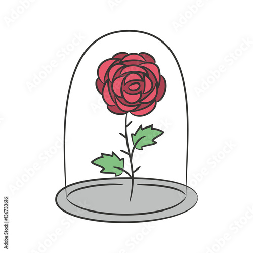 Rose in a flask of glass. on the white background for your desig